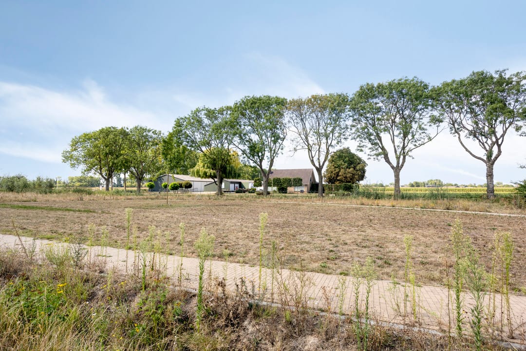 Photo 32 of Cambara 25