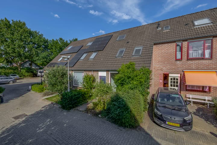 Foto 42 van Vlaamse gaai 43