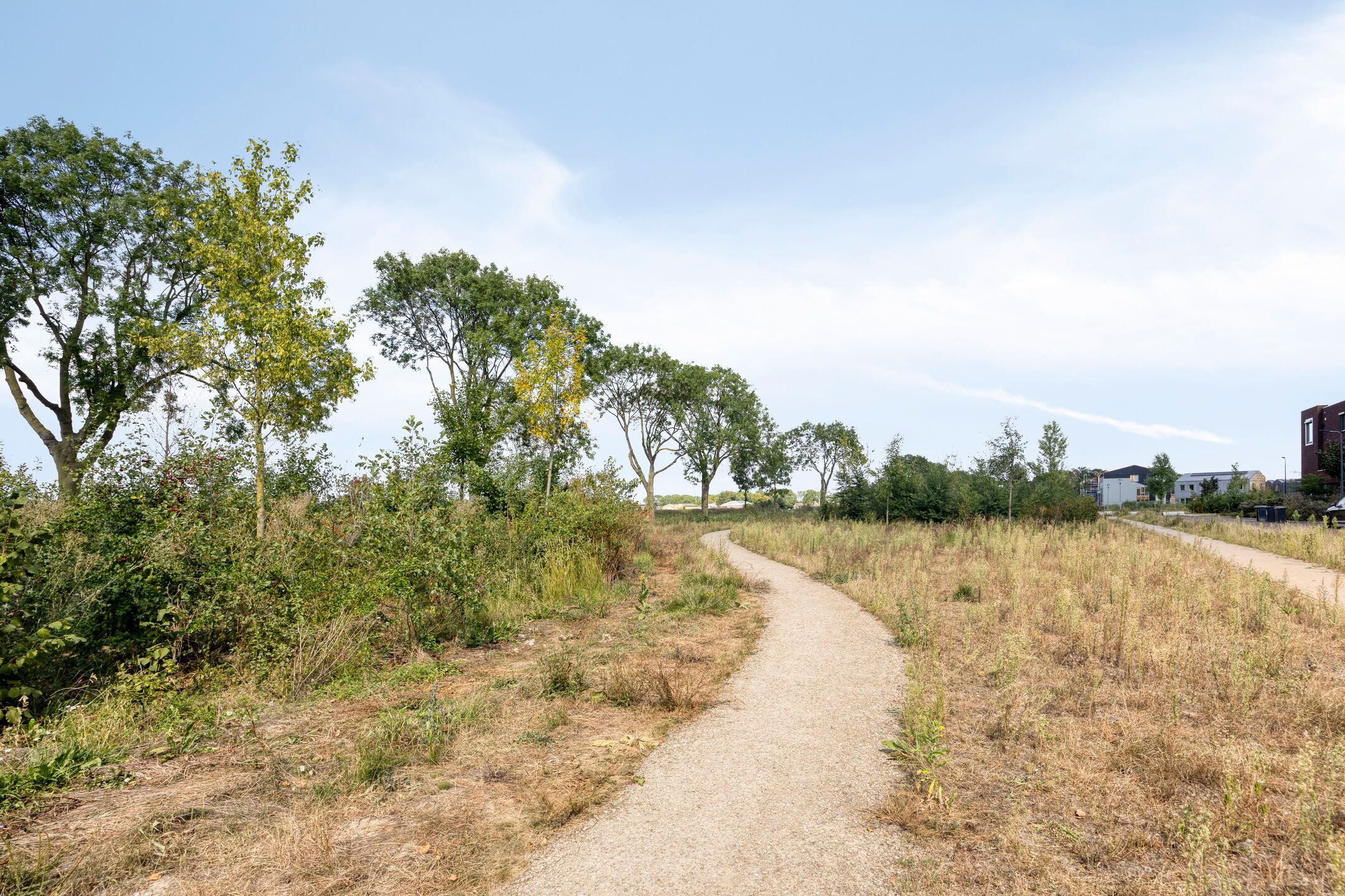 Photo 33 of Cambara 25