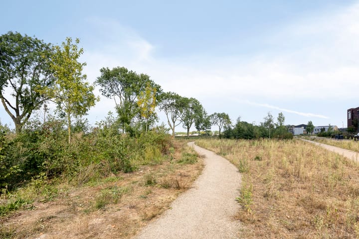 Foto 33 van Cambara 25