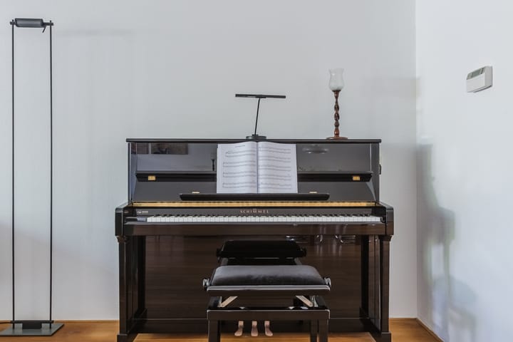 Foto 12 van Schotvanger 11