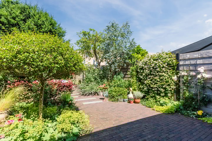 Foto 39 van Schotvanger 11