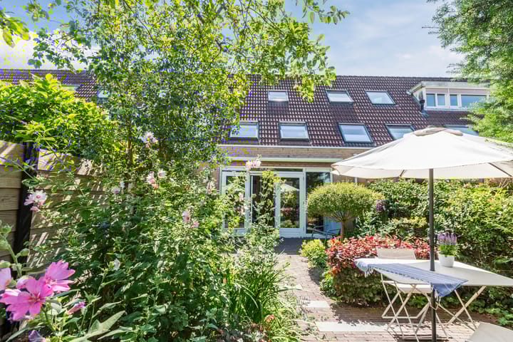 Foto 41 van Schotvanger 11