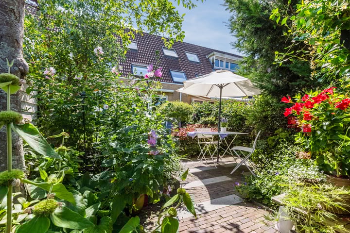 Foto 42 van Schotvanger 11