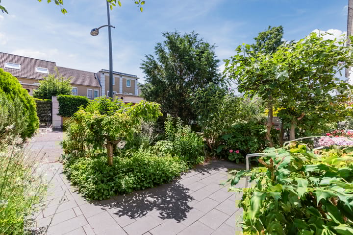 Foto 43 van Schotvanger 11