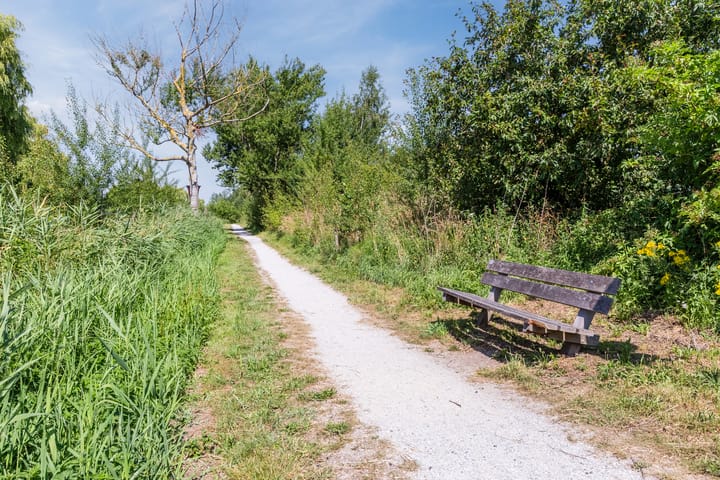 Foto 50 van Schotvanger 11