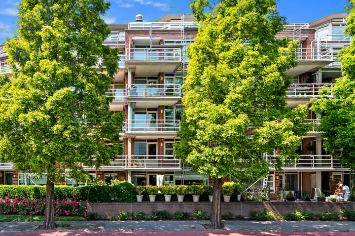 Foto 1 van Buizerdlaan 203