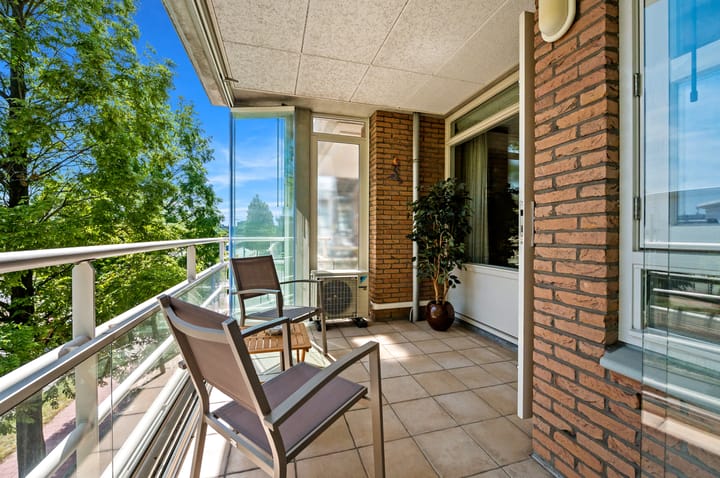 Foto 13 van Buizerdlaan 203