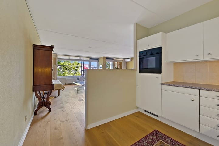 Foto 21 van Buizerdlaan 203