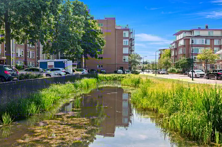 Foto 34 van Buizerdlaan 203