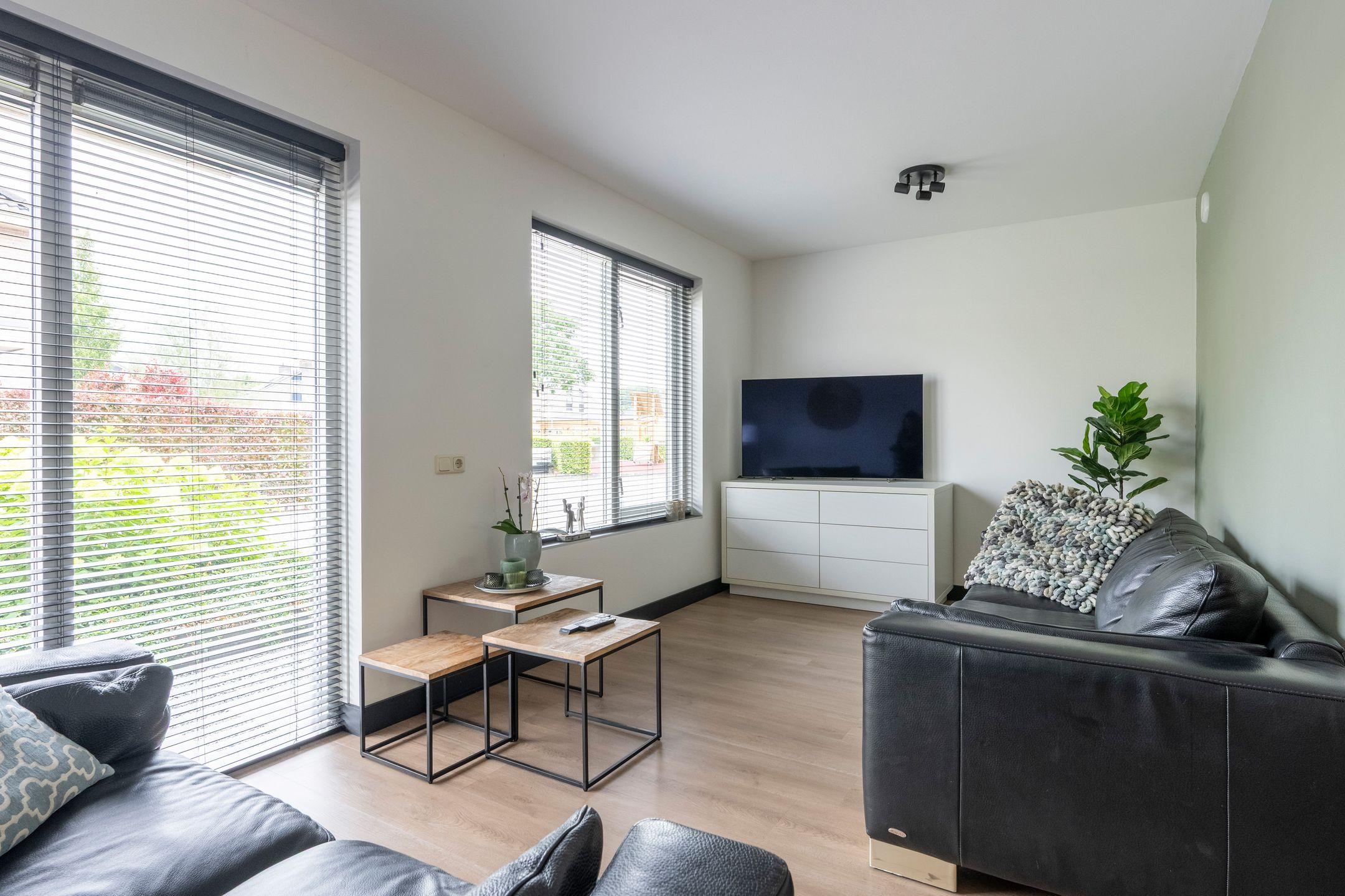 Foto 6 van Witrugspecht 18