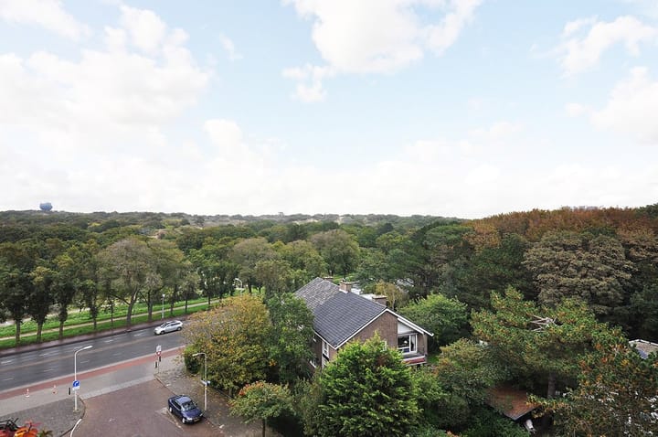 Foto 3 van Van Alkemadelaan 828