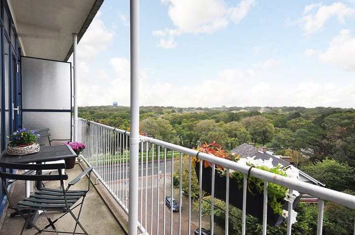 Foto 30 van Van Alkemadelaan 828