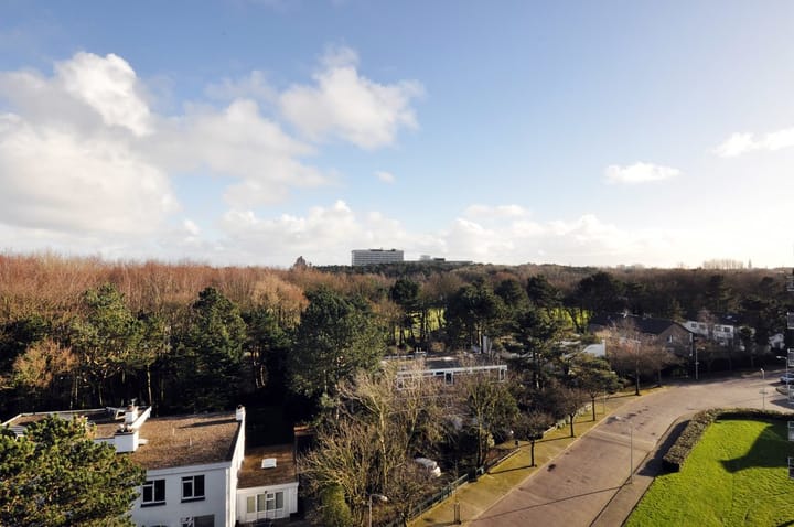 Foto 33 van Van Alkemadelaan 828