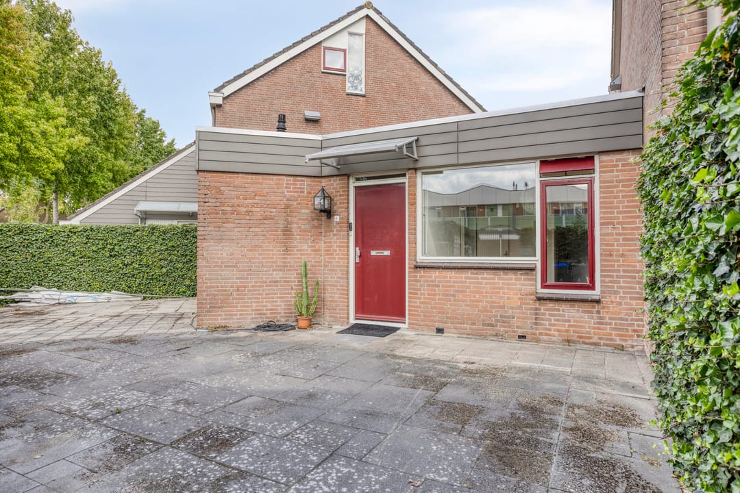 Foto 2 van Klimopzoom 6