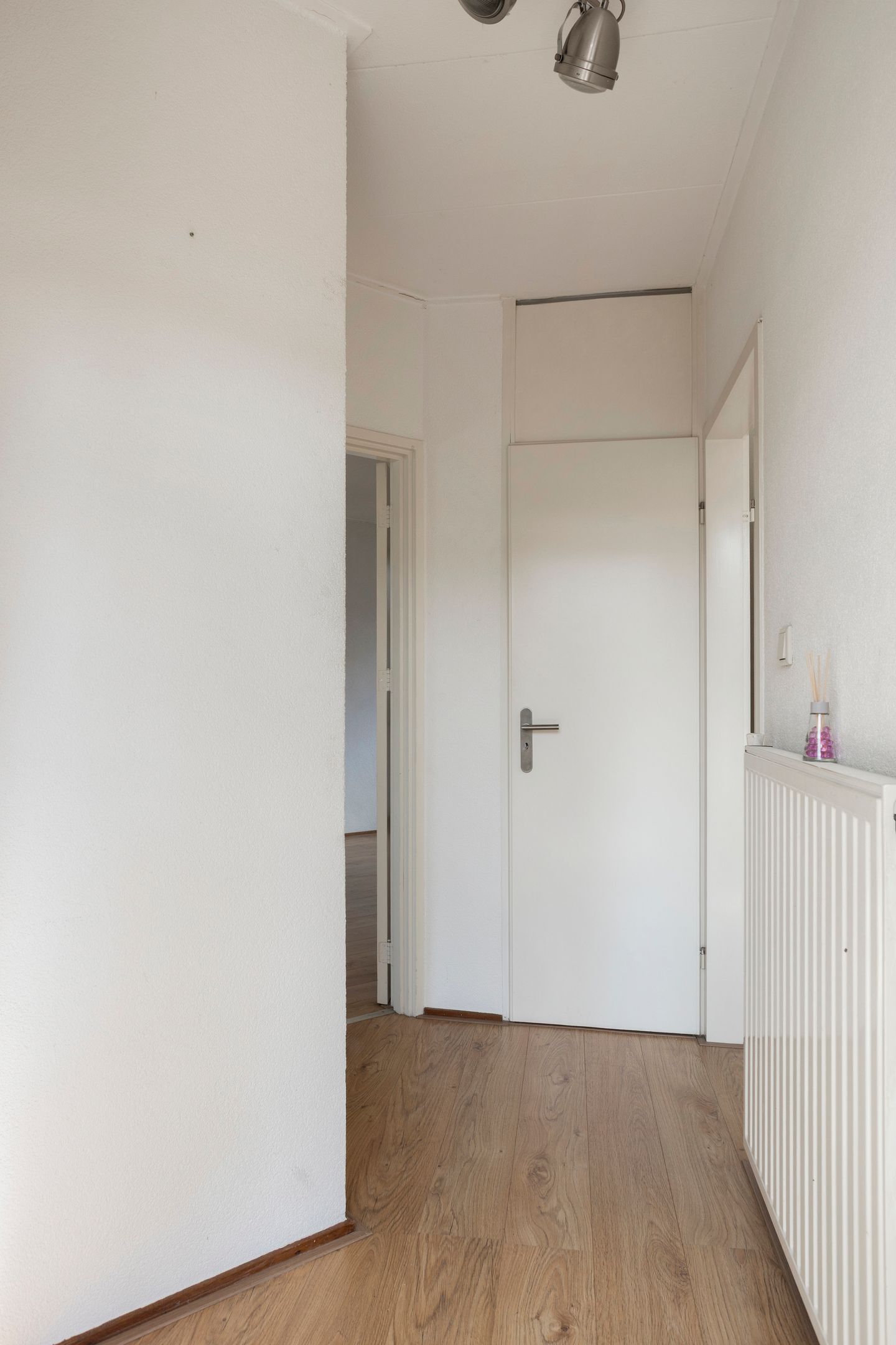 Foto 3 van Klimopzoom 6