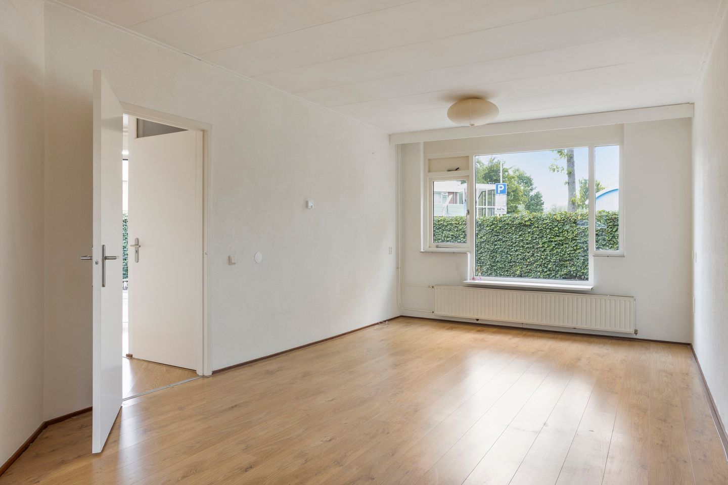 Foto 4 van Klimopzoom 6