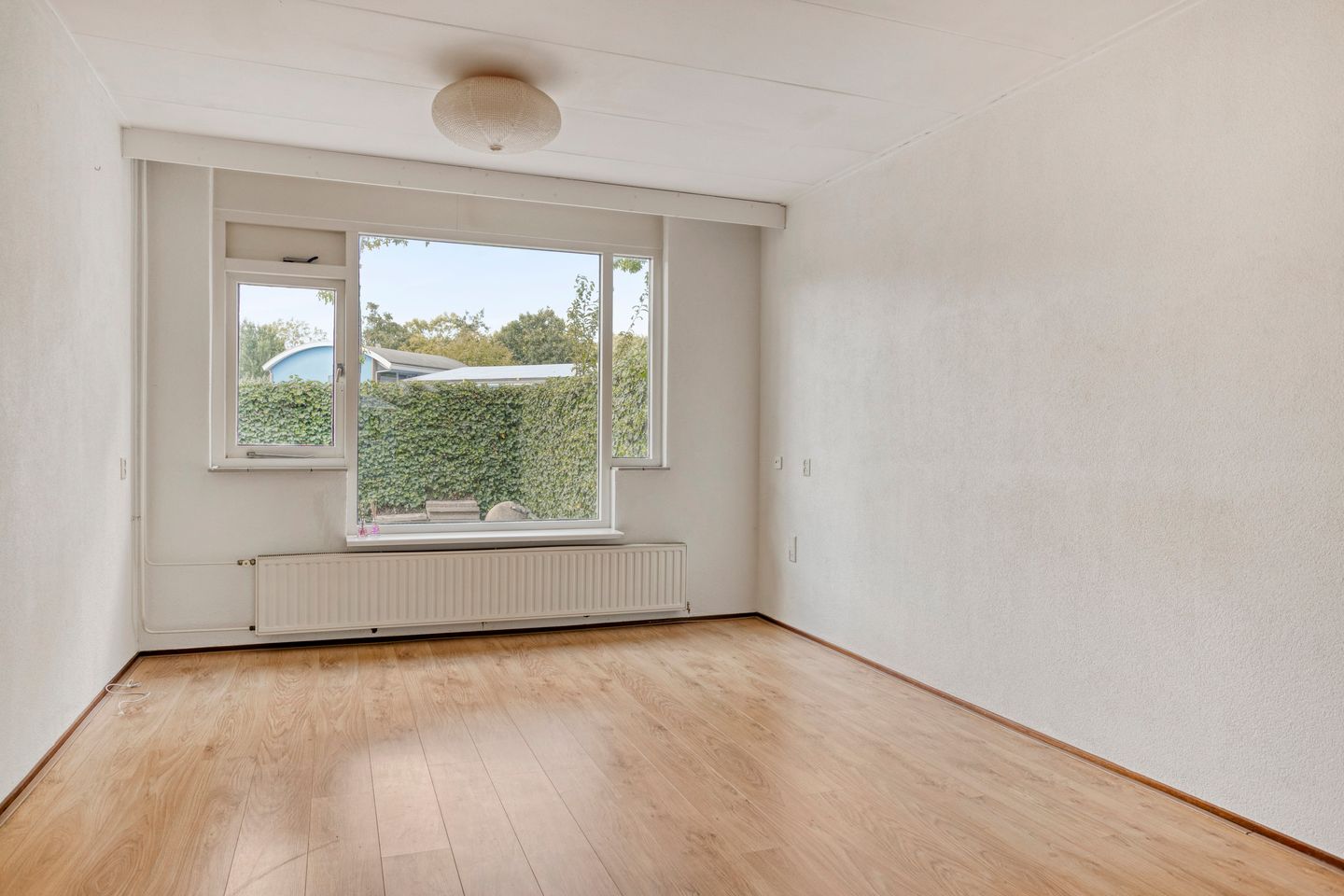 Foto 5 van Klimopzoom 6