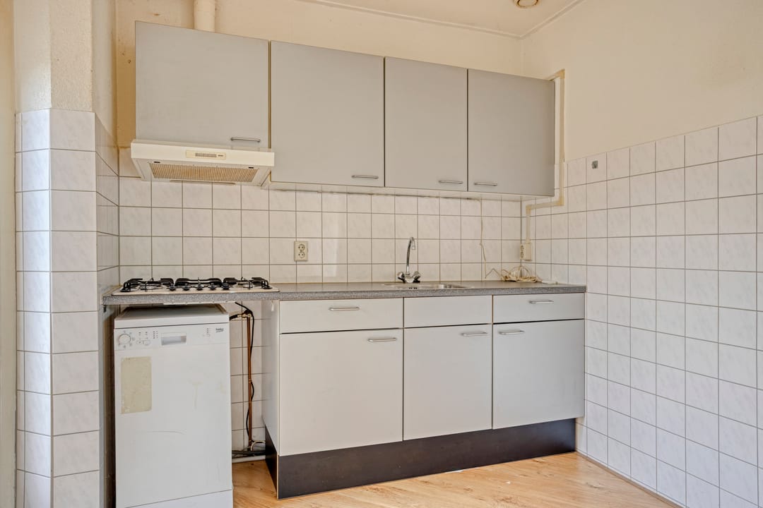 Foto 7 van Klimopzoom 6