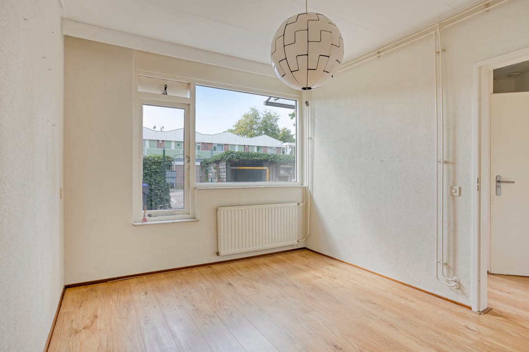 Foto 8 van Klimopzoom 6