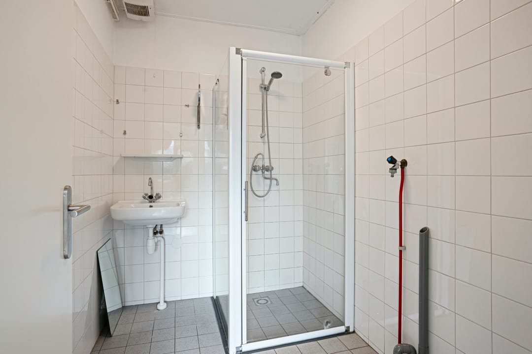 Foto 11 van Klimopzoom 6