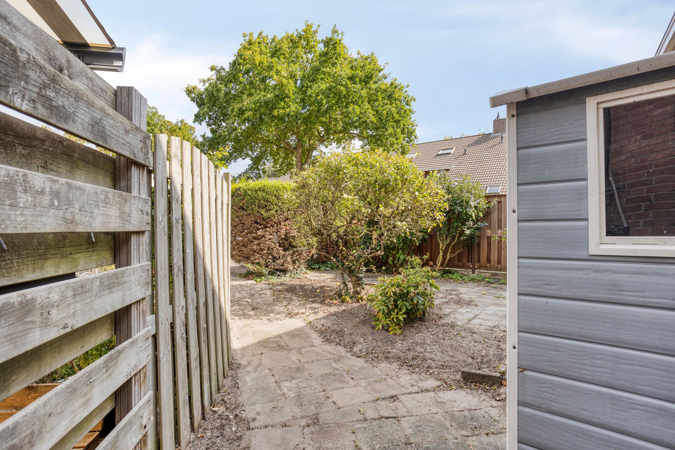 Foto 12 van Klimopzoom 6