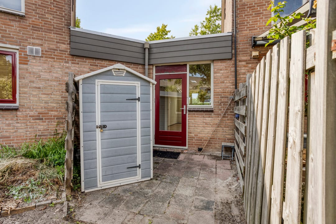 Foto 13 van Klimopzoom 6