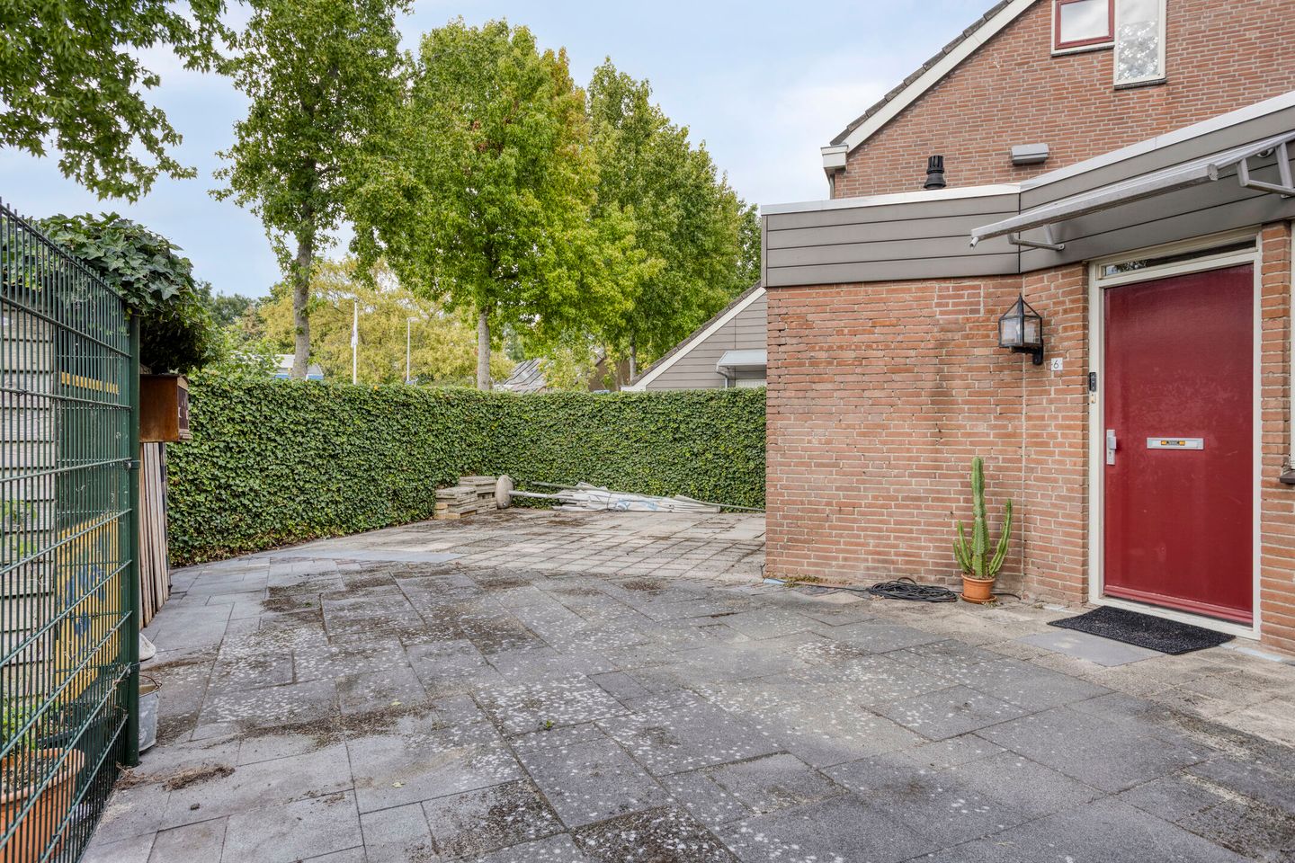 Foto 14 van Klimopzoom 6