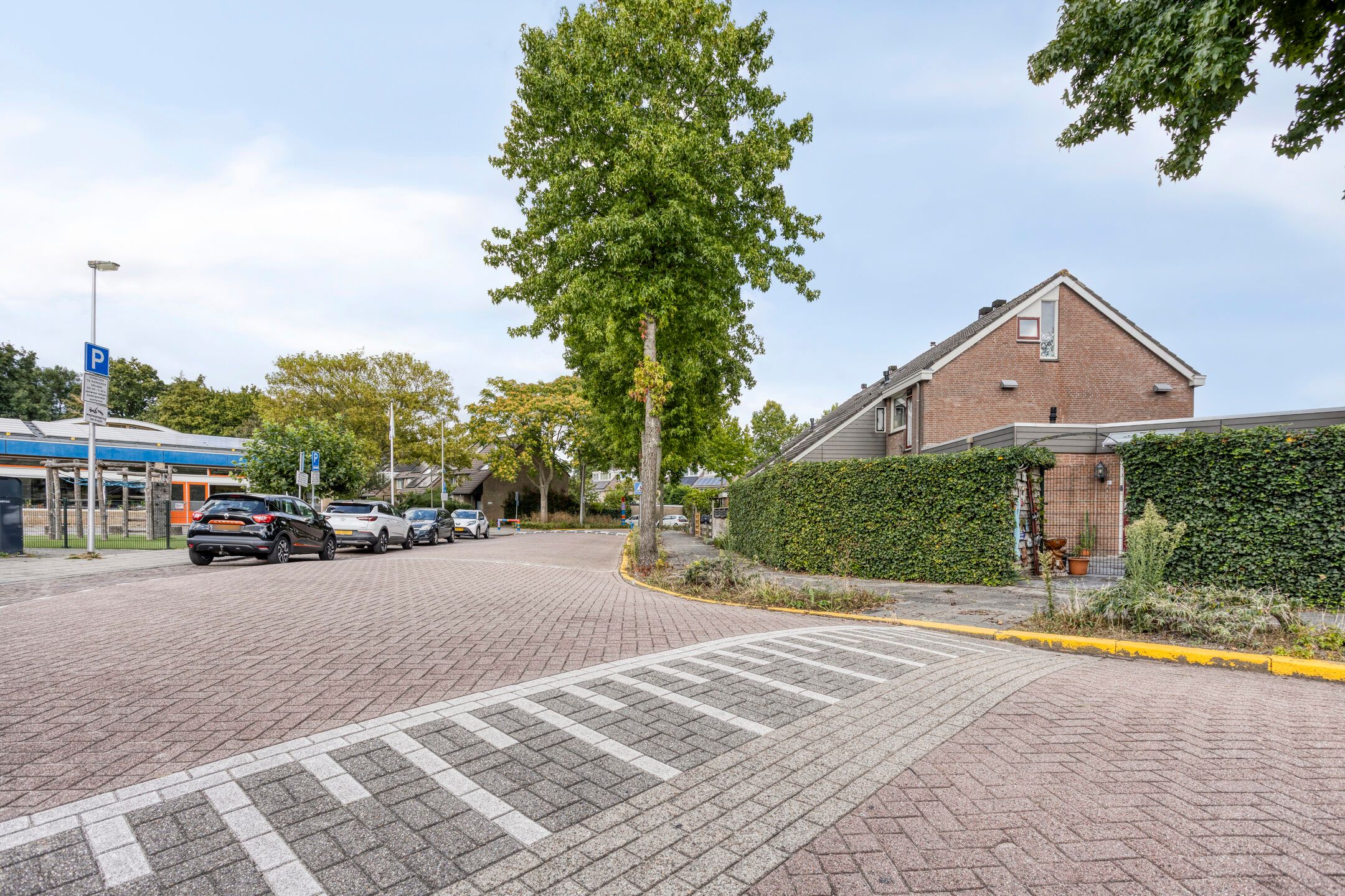 Foto 15 van Klimopzoom 6