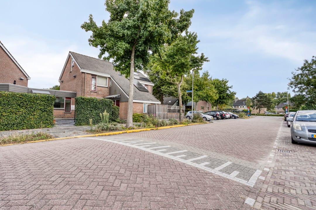 Foto 16 van Klimopzoom 6