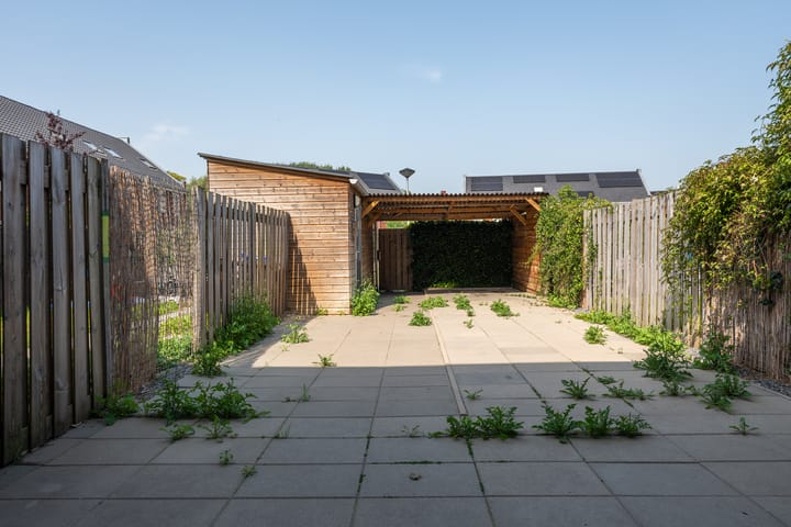 Foto 18 van Ossengang 6