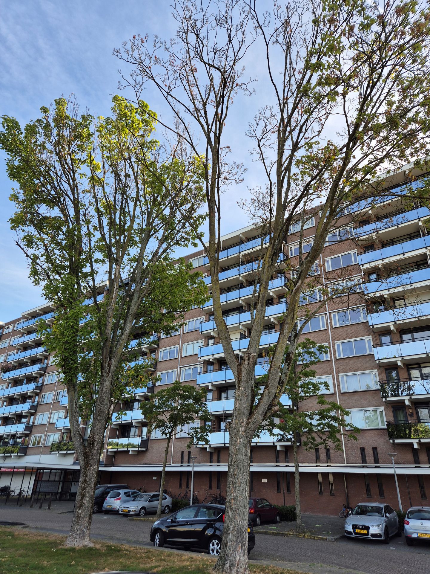 Foto 25 van Nederlandplein 40