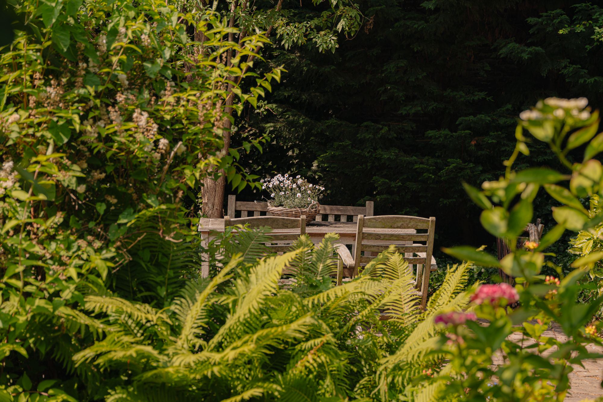 Foto 9 van Vondelstraat 42-A