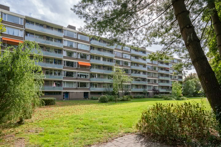 Van der Helmstraat 313