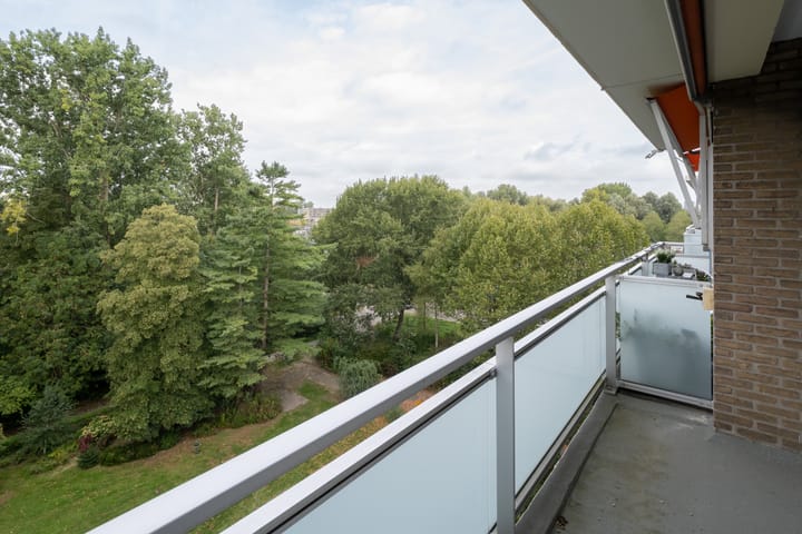 Foto 11 van Van der Helmstraat 313