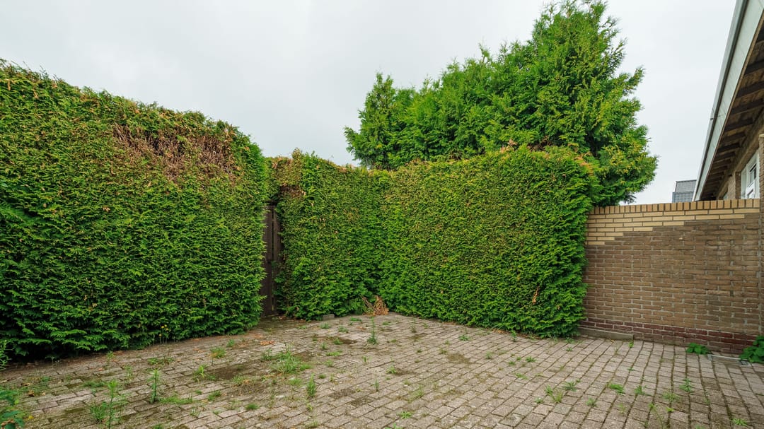 Foto 13 van Deldensestraat 171