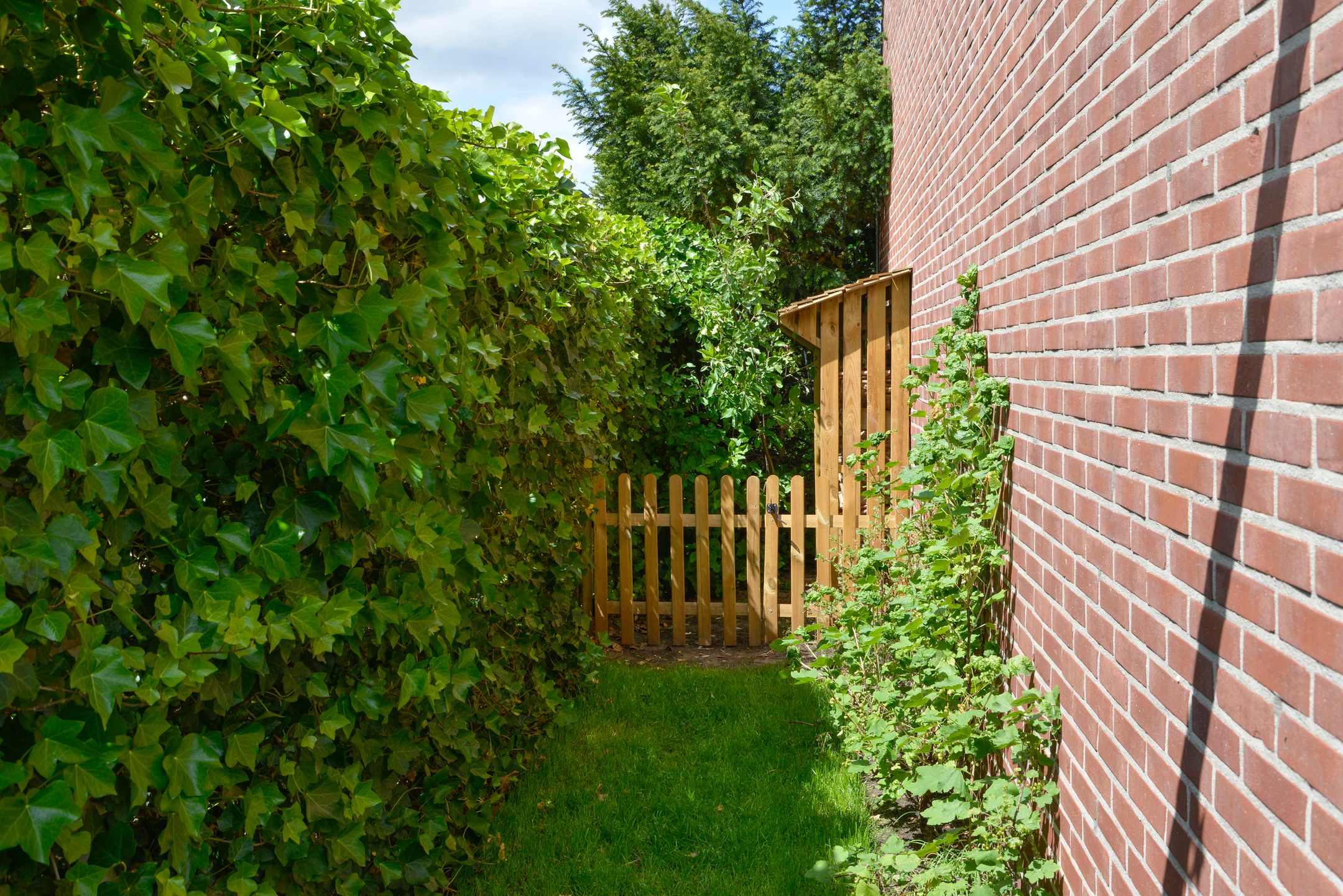 Foto 27 van Verlengde Fortlaan 60