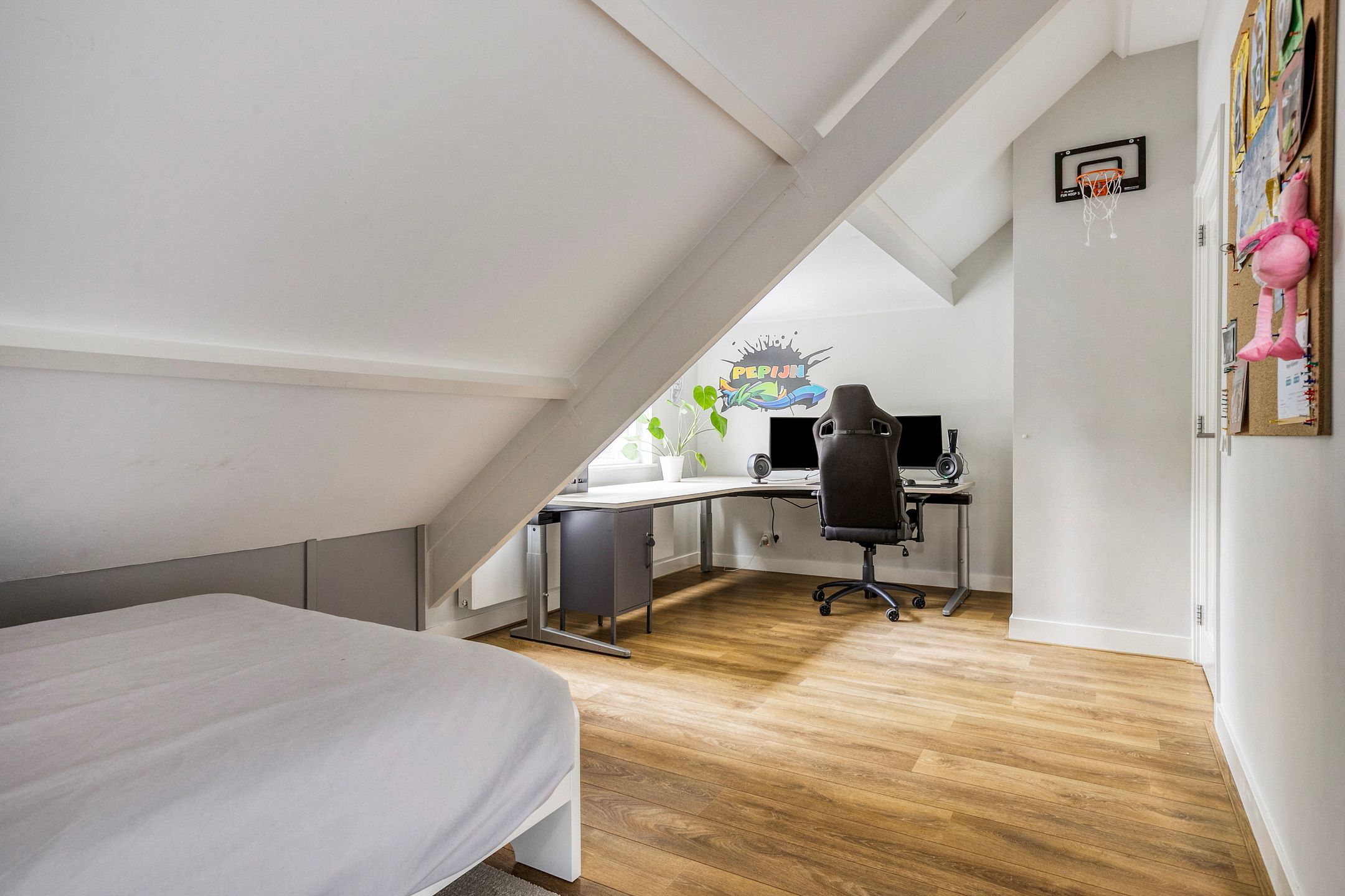 Foto 51 van Doctor Schaepmanlaan 8