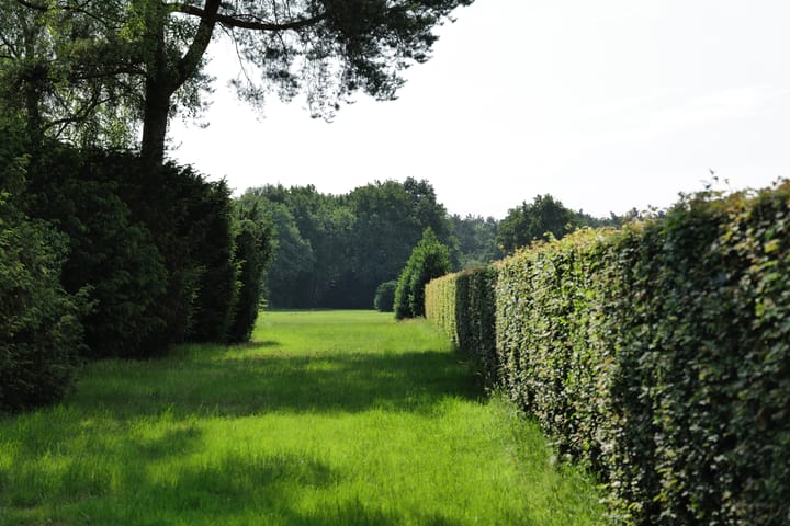 Photo 22 of Vierwindenlaan 13