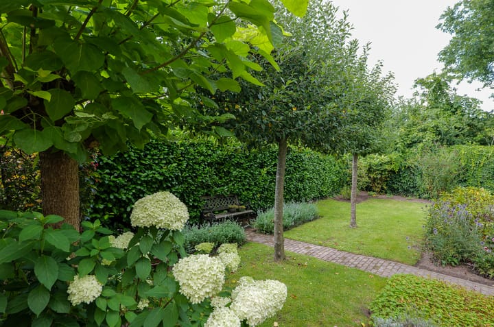 Foto 31 van Plattenkamp 20