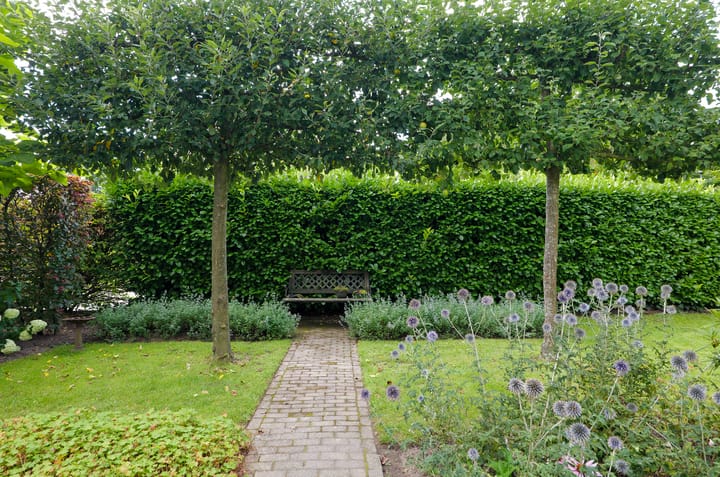 Foto 32 van Plattenkamp 20