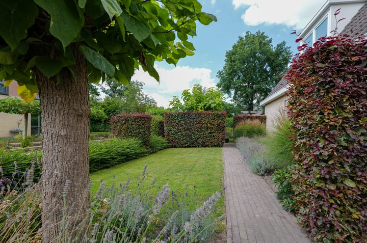 Foto 45 van Plattenkamp 20