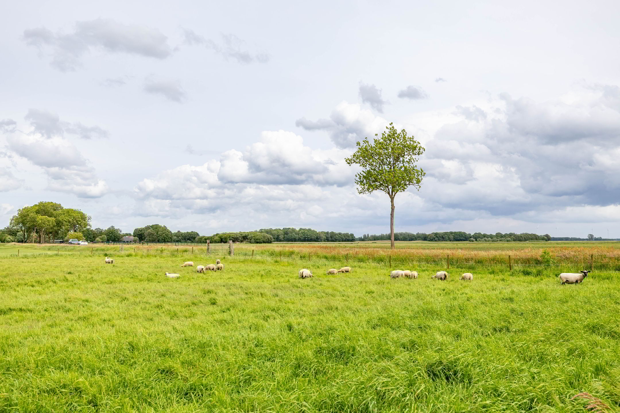 Foto 69 van Spijkerboorsdijk 7