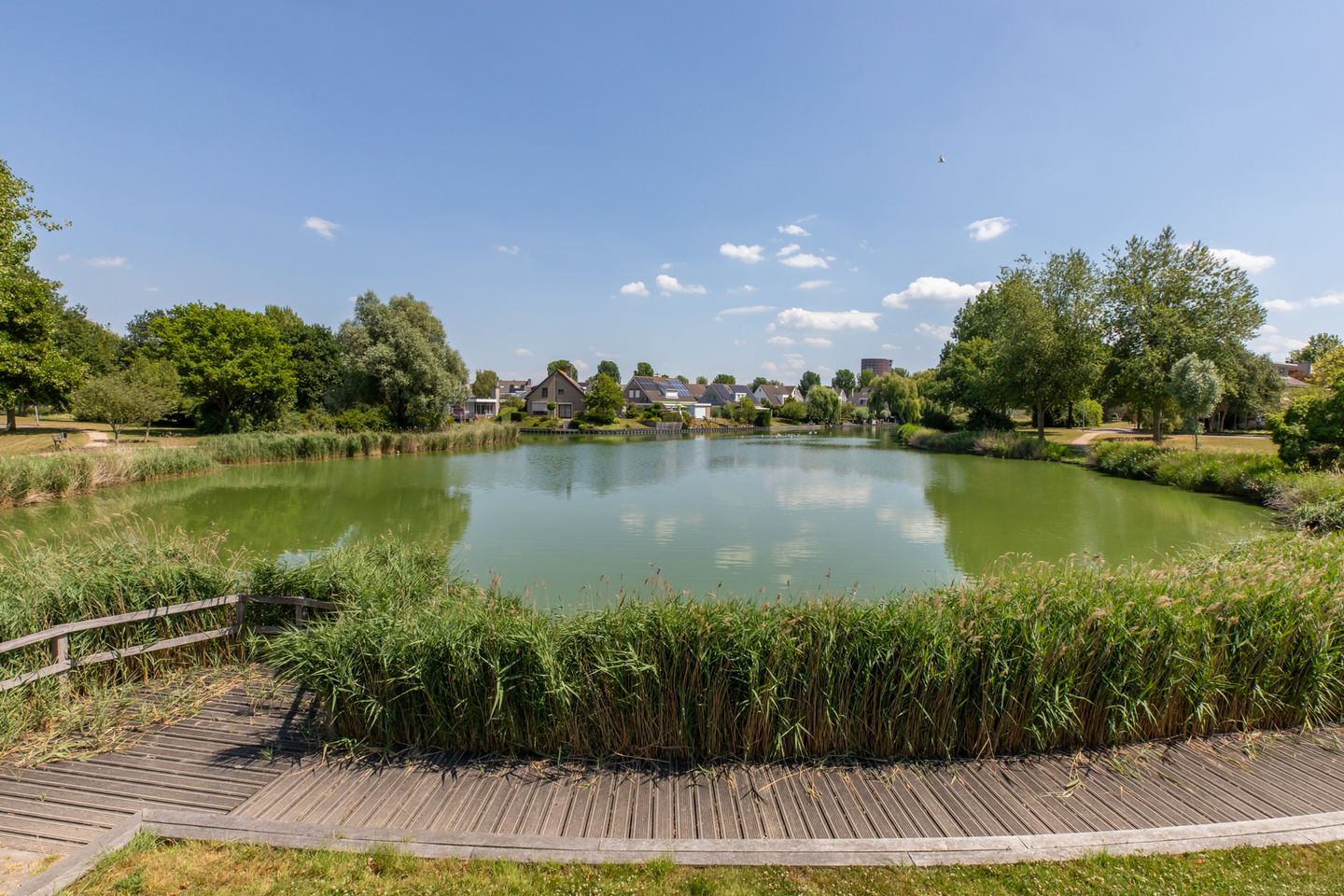 Foto 40 van H. Roland Holstlaan 56