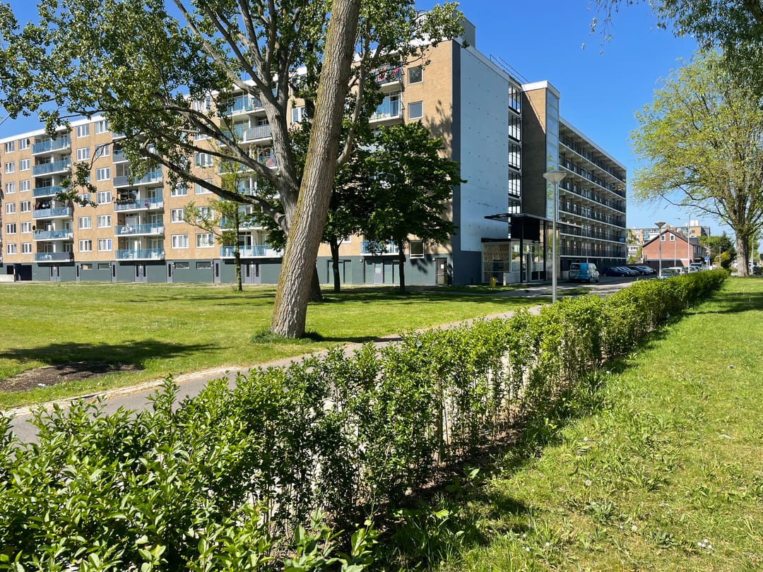 Foto 17 van Venusstraat 124