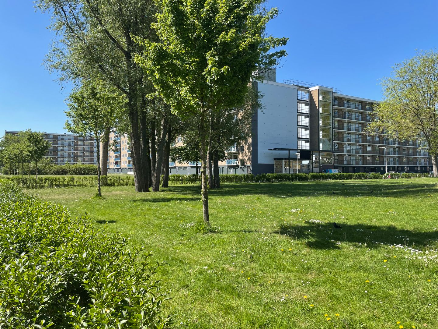 Foto 20 van Venusstraat 124