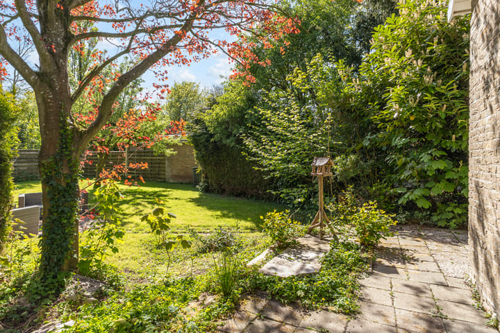 Photo 31 of de Kolk 12