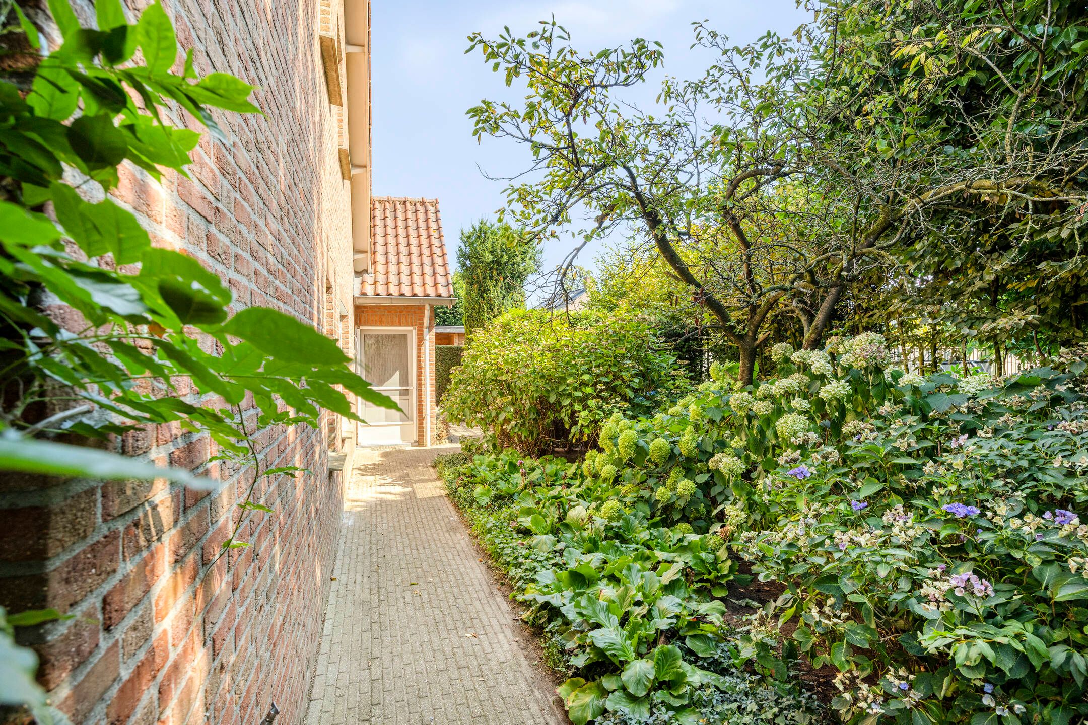 Photo 48 of De Kuiper 18