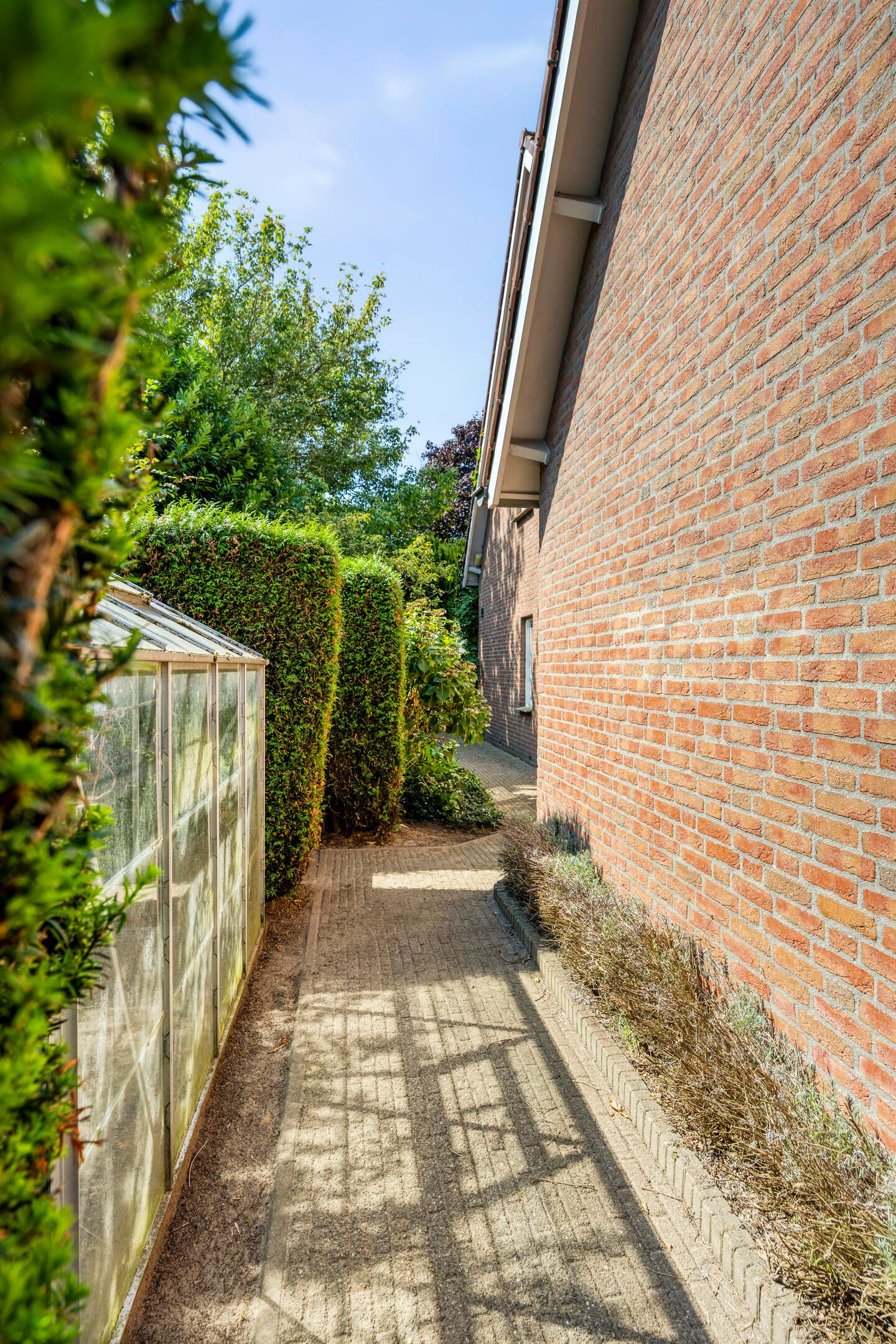 Photo 49 of De Kuiper 18