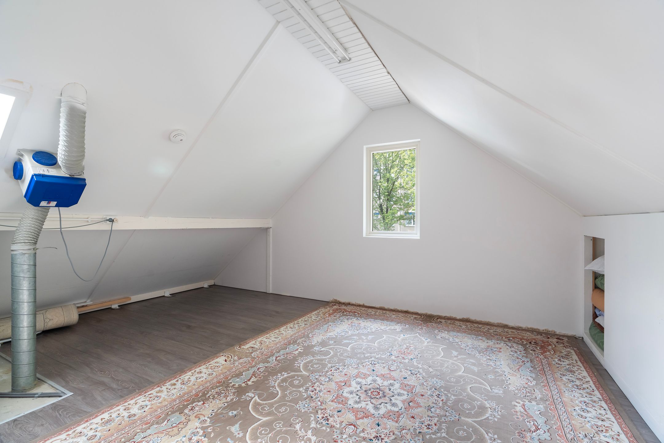 Foto 27 van Tomatenplein 4